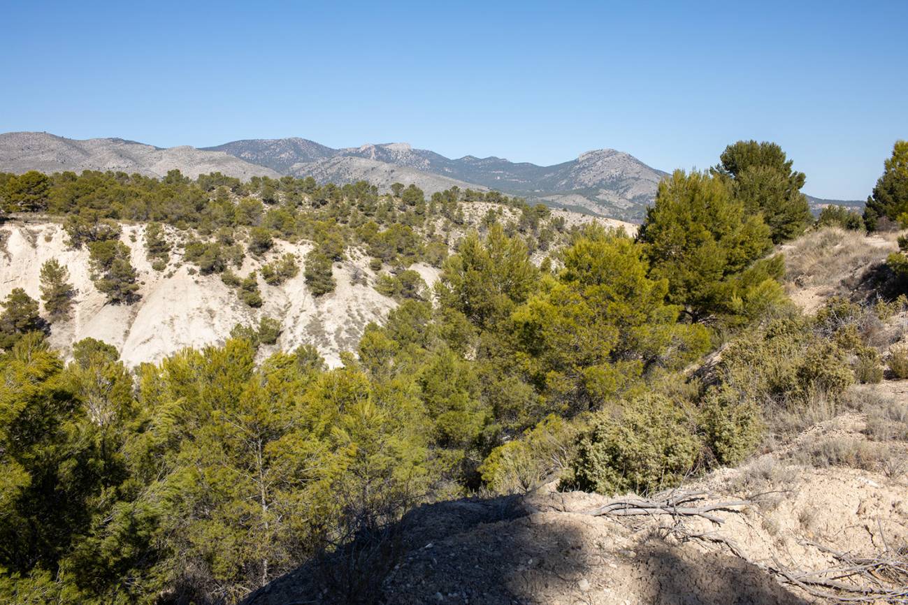 Barranco del Gredero (Murcia)