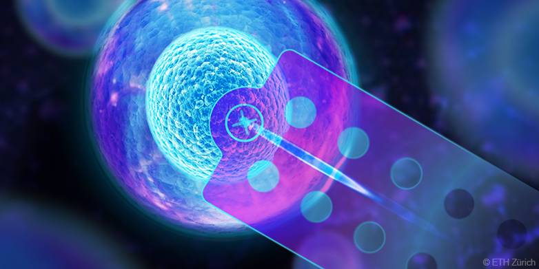 Ready to see life change from cell to cell
