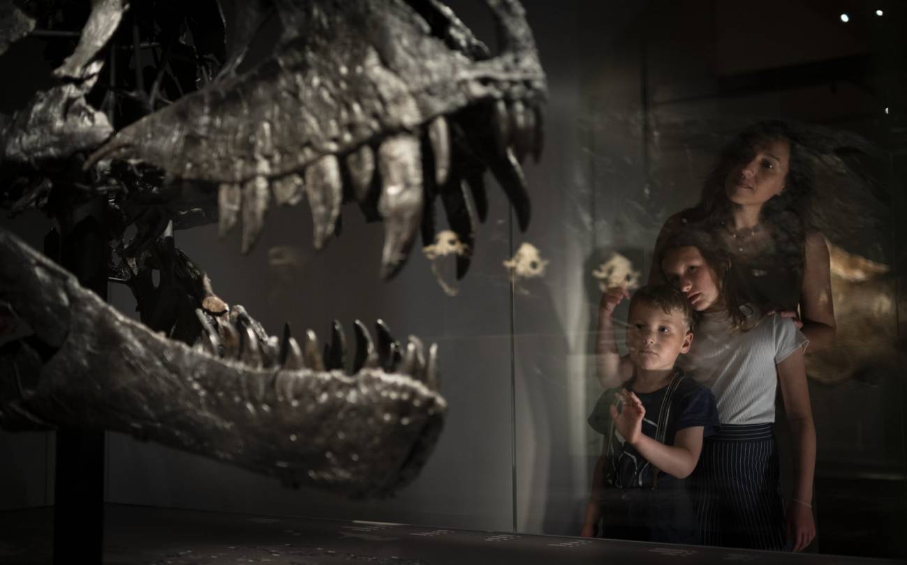 200 años del primer dinosaurio