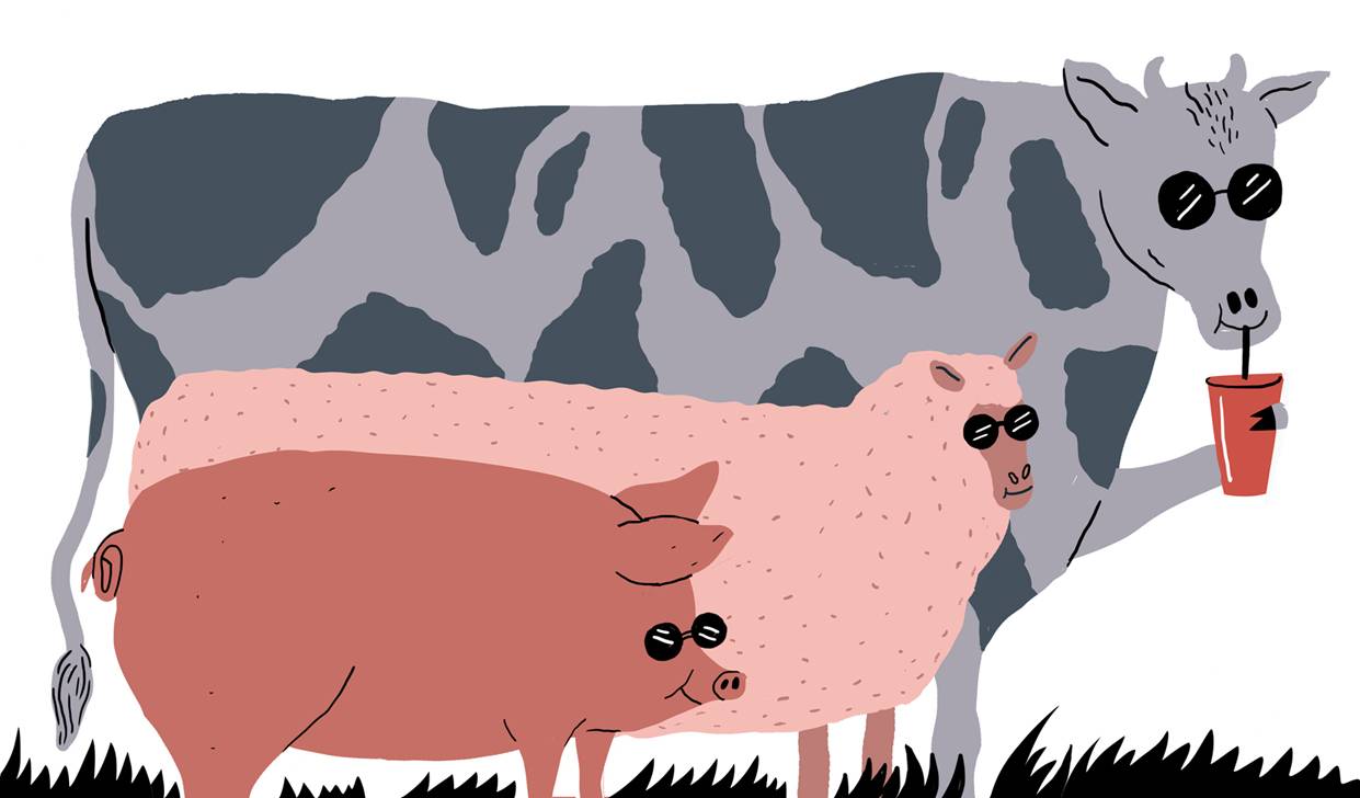 Bienestar animal: una cuestión ética pero también económica