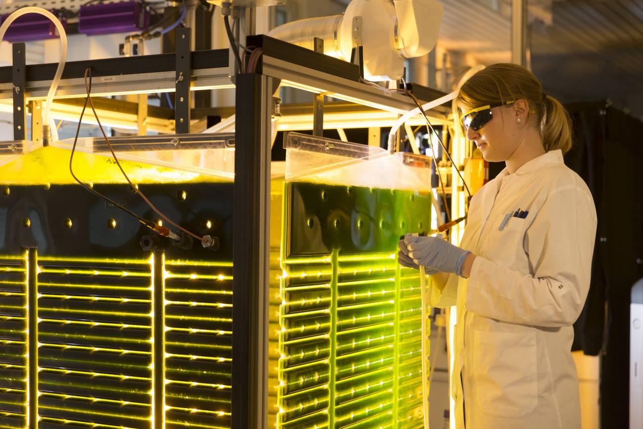 Bioeconomía para un futuro sostenible
