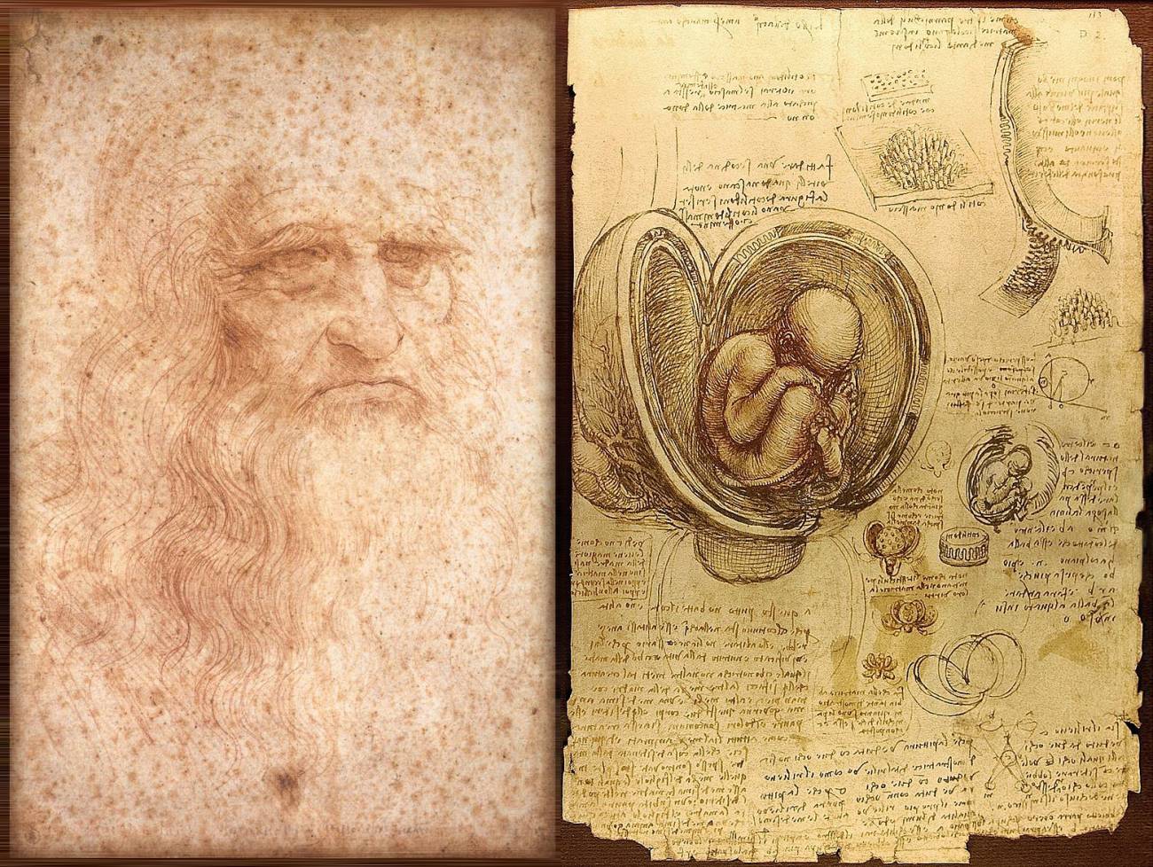 Cinco siglos sin Leonardo, el genio que dibujó las entrañas del cuerpo humano