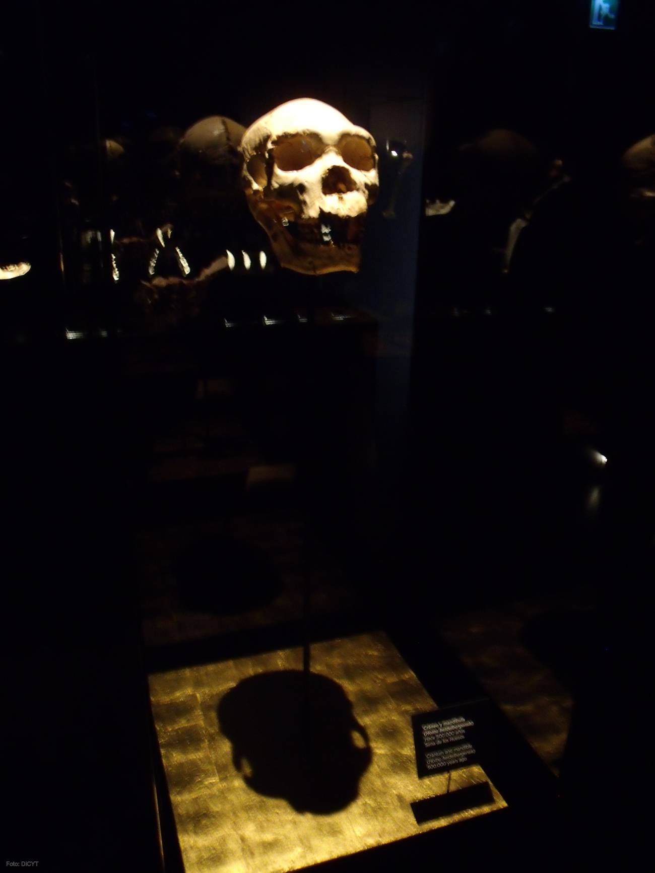 CSI Atapuerca