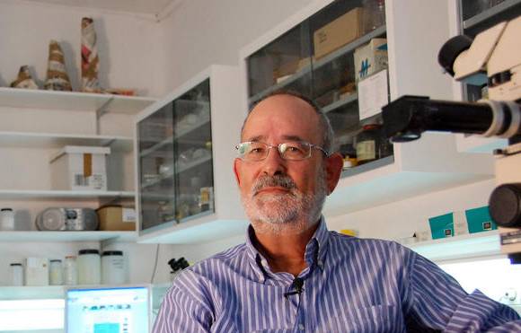 De coleccionistas a investigadores ‘amateur’