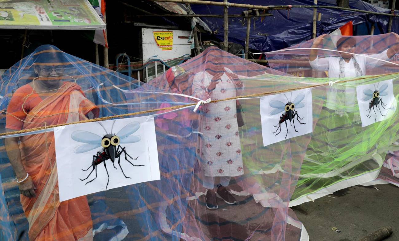 Dengue y factores socioculturales: los claroscuros para conseguir vacunas ante una amenaza de salud mundial 