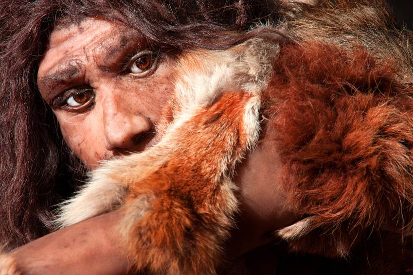 El sexo con neandertales nos trajo un papiloma y un cáncer 