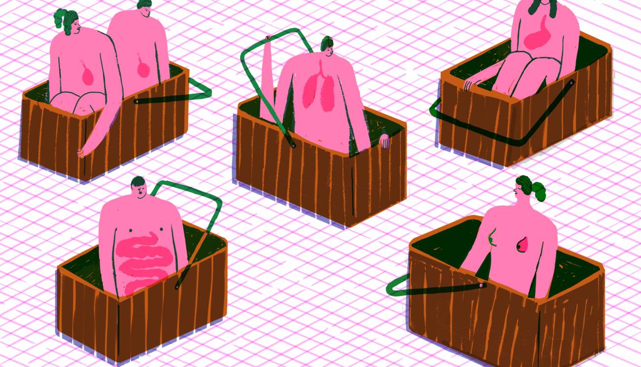 Ensayos en cestas: cómo multiplicar el poder de los fármacos contra el cáncer 