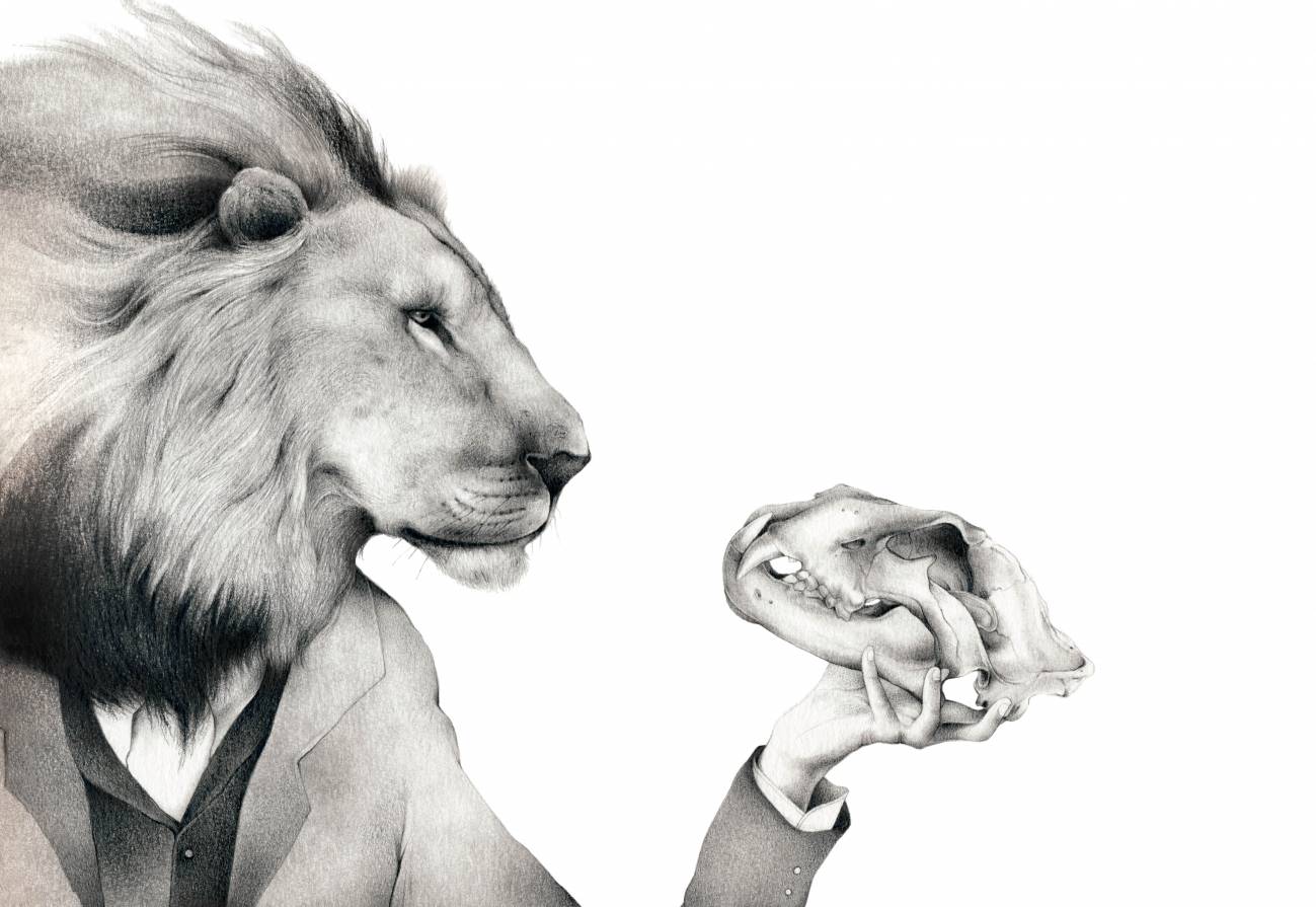 Ilustraciones que nos regala la ciencia