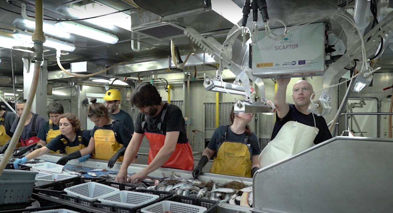 Inteligencia artificial para tomar decisiones eficientes y sostenibles en el sector de la pesca