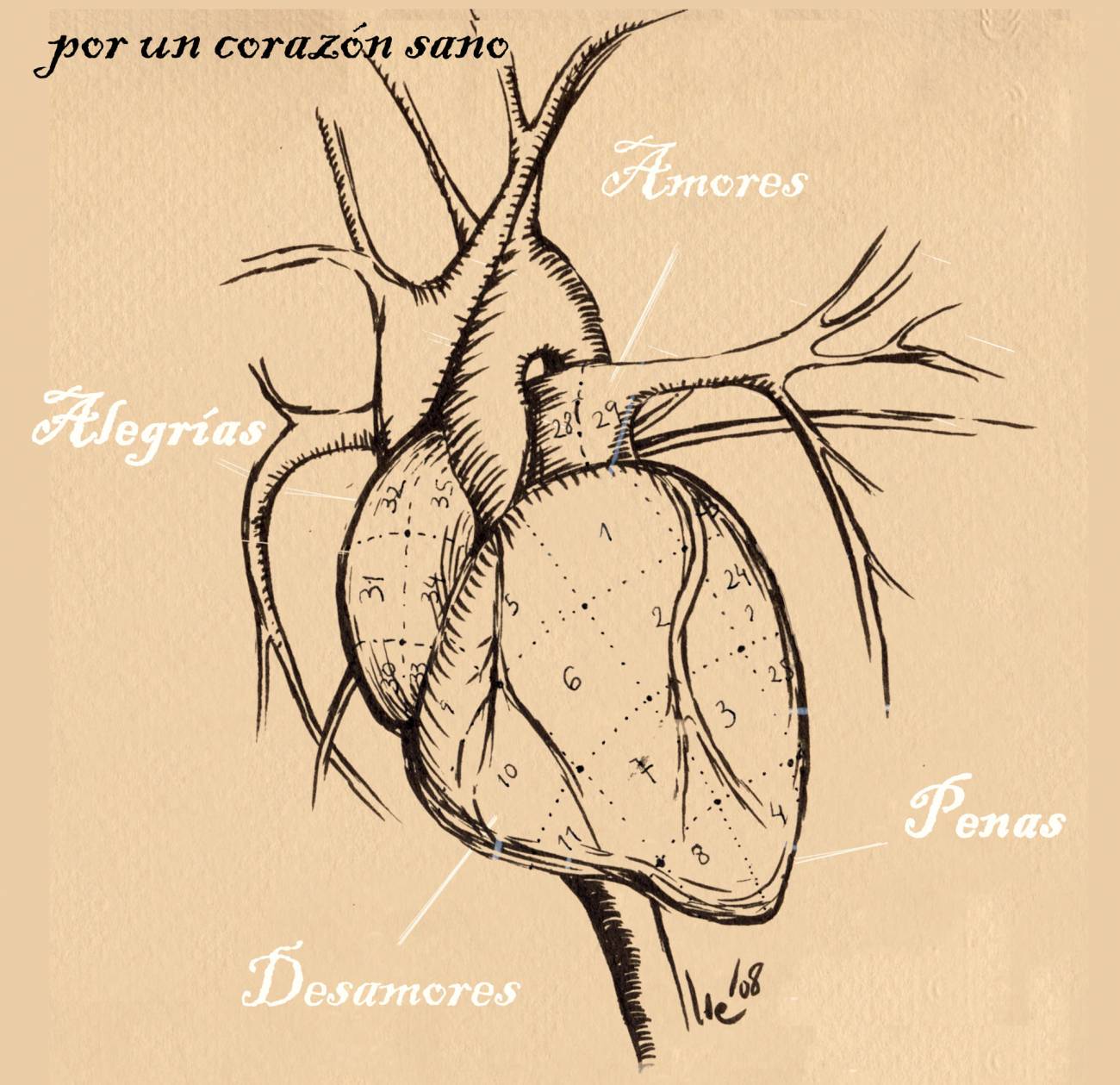 La importancia de prevenir las enfermedades cardiovasculares