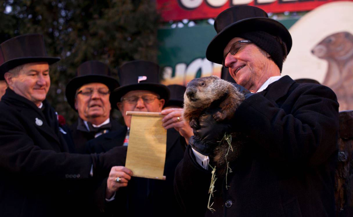 La marmota no sabe cuándo acaba el invierno