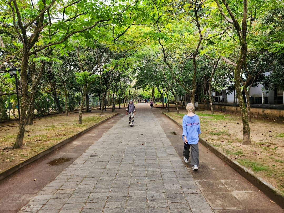 La prevención contra la obesidad comienza por el diseño de las ciudades