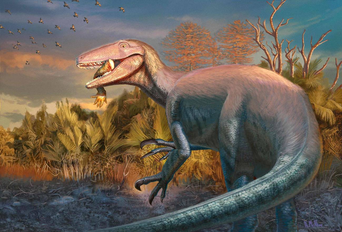 dinosaurio, Patagonia