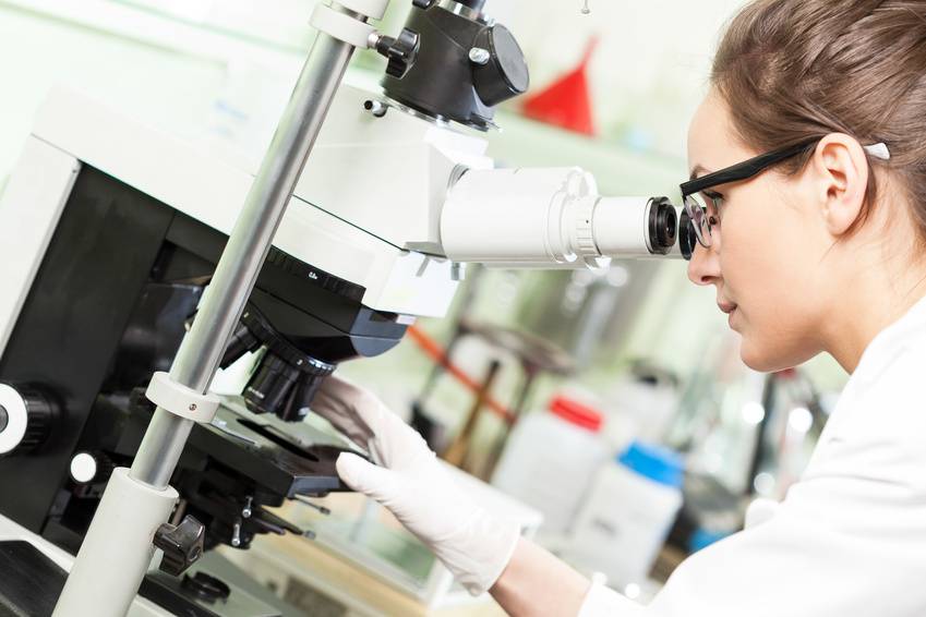 La vida después de la ciencia