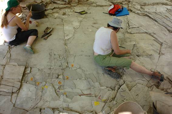 Trabajo de campo en el yacimiento de Las Hoyas