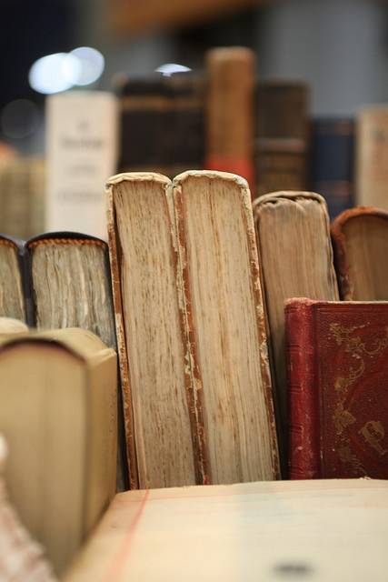 Libro busca lector