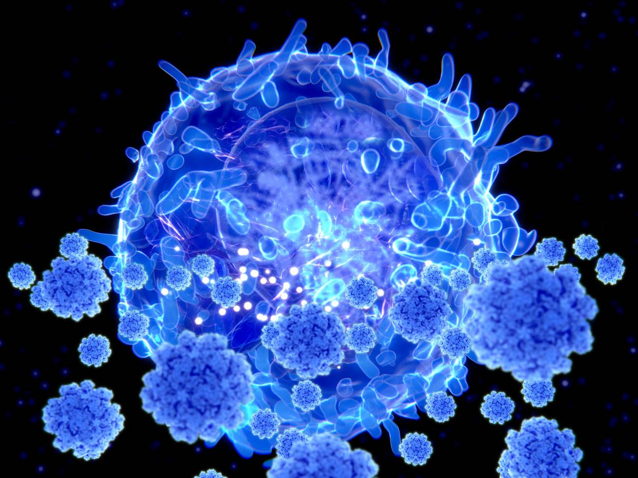 Los linfocitos T no nos salvarán del coronavirus, pero ayudarán a resolver el puzle inmunitario