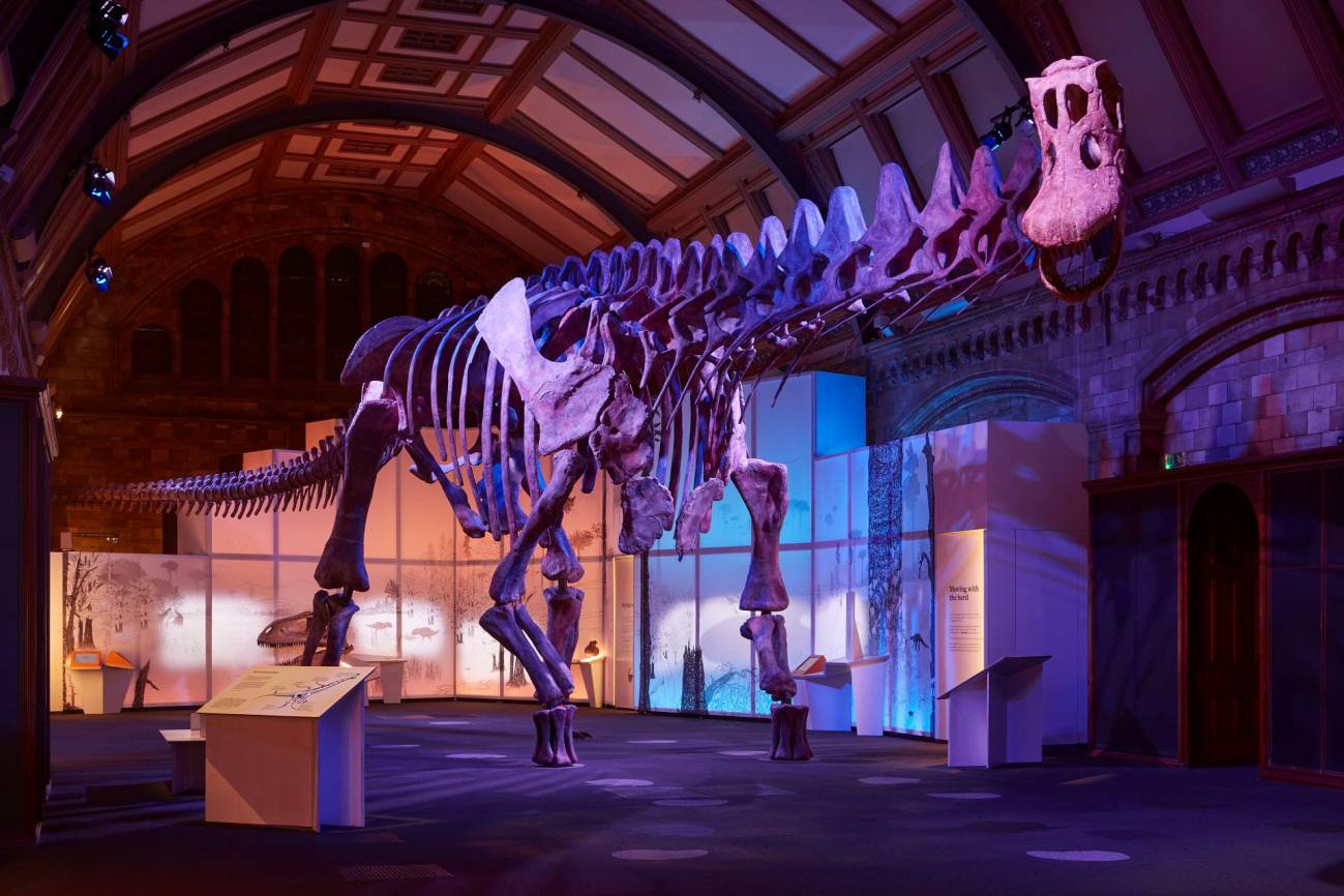 Titanosaurio 