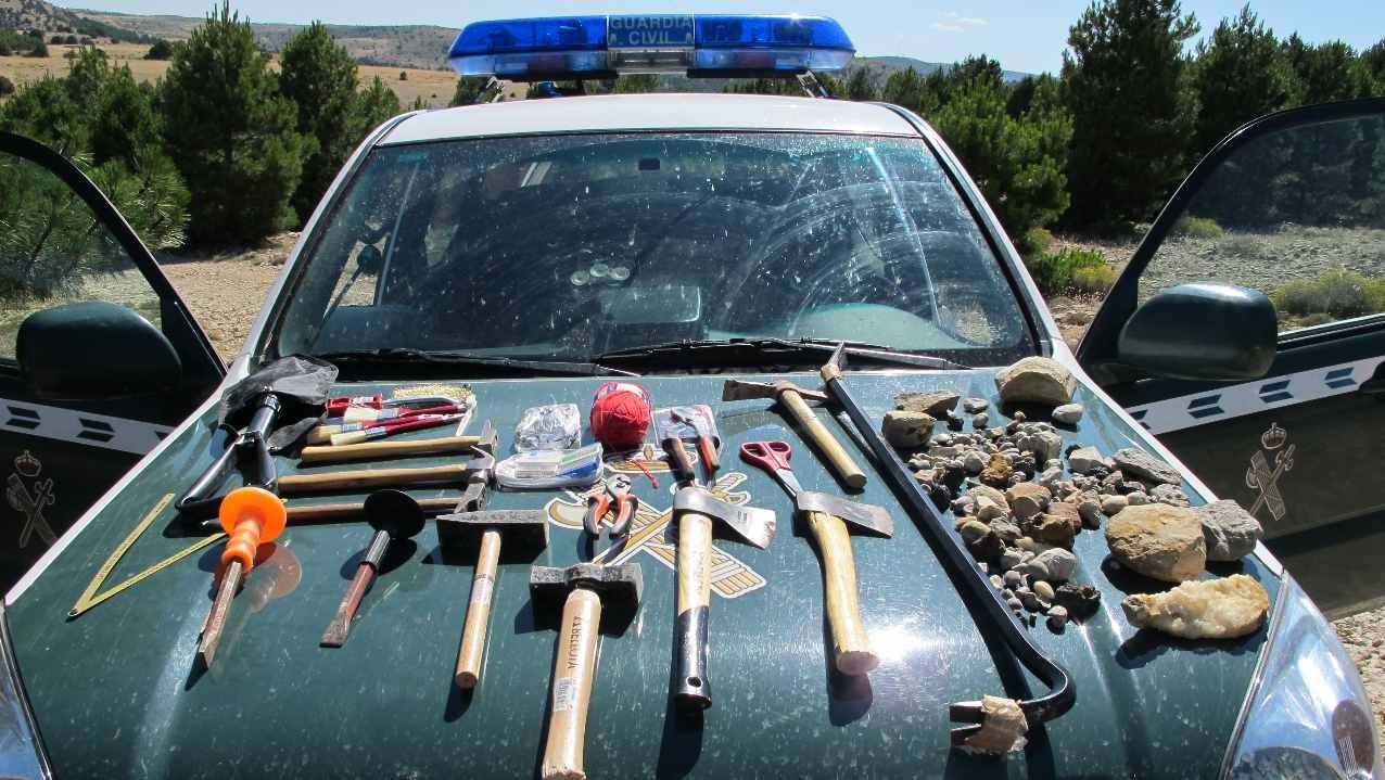 ¿Me puedo llevar un fósil a casa?