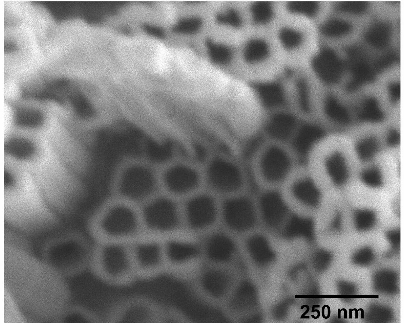 Nanomagnetismo en la nevera para cuidar la capa de ozono