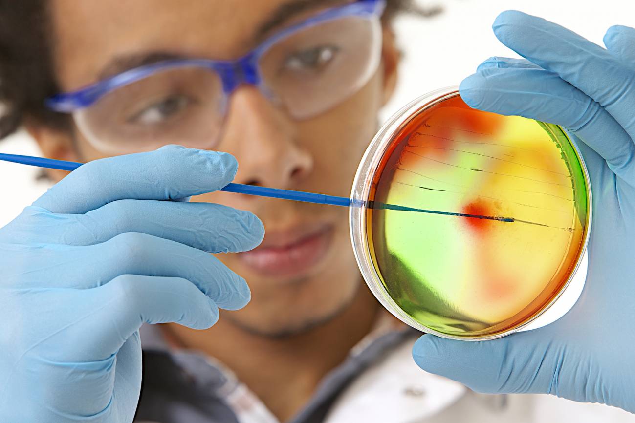 Recompensa millonaria a quien derrote a las bacterias superresistentes