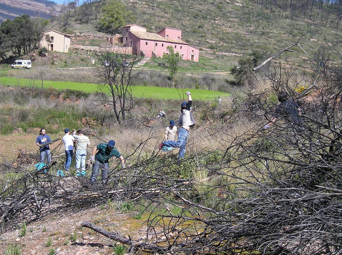 Recuperar la vida después del incendio