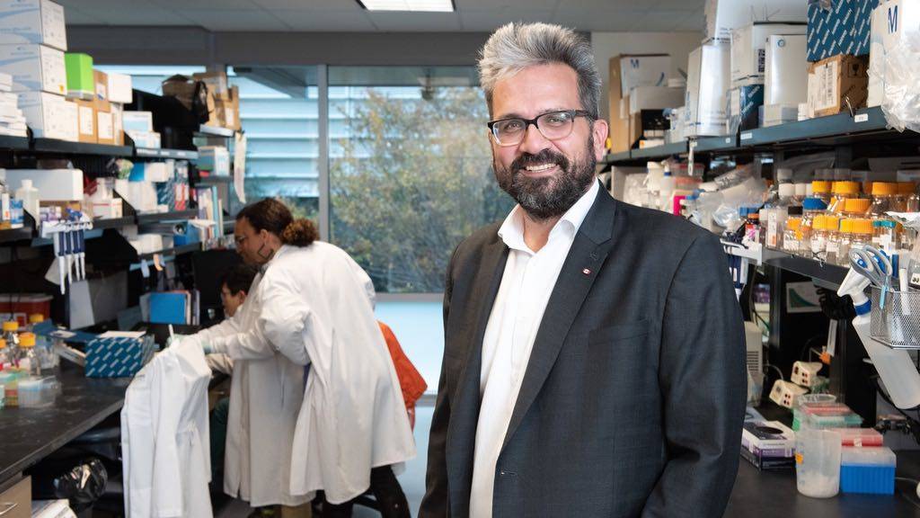 Resultados del interactoma: una treintena de fármacos aprobados podrían actuar contra el coronavirus