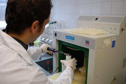 Sustitutos de los antibióticos en la alimentación de terneros