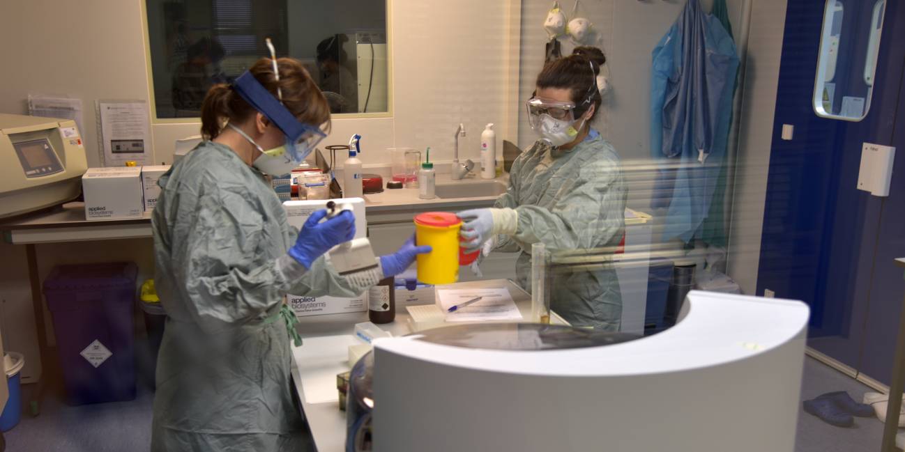 “Tengo una PCR y sé cómo usarla": laboratorios universitarios se ofrecen para cercar al coronavirus