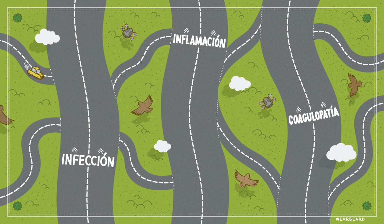 Un viaje por las carreteras principales y secundarias del nuevo coronavirus
