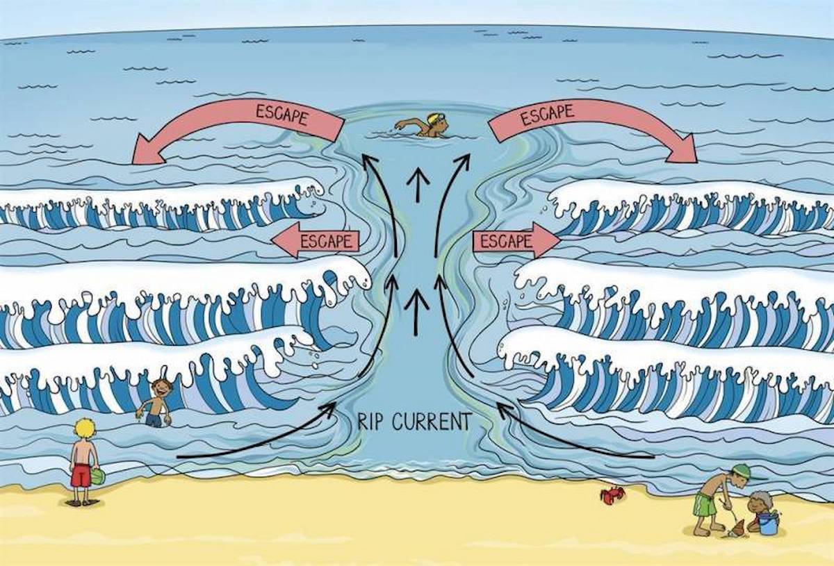 Ilustración sobre cómo escapar de una corriente de resaca. / Universidad de Alicante