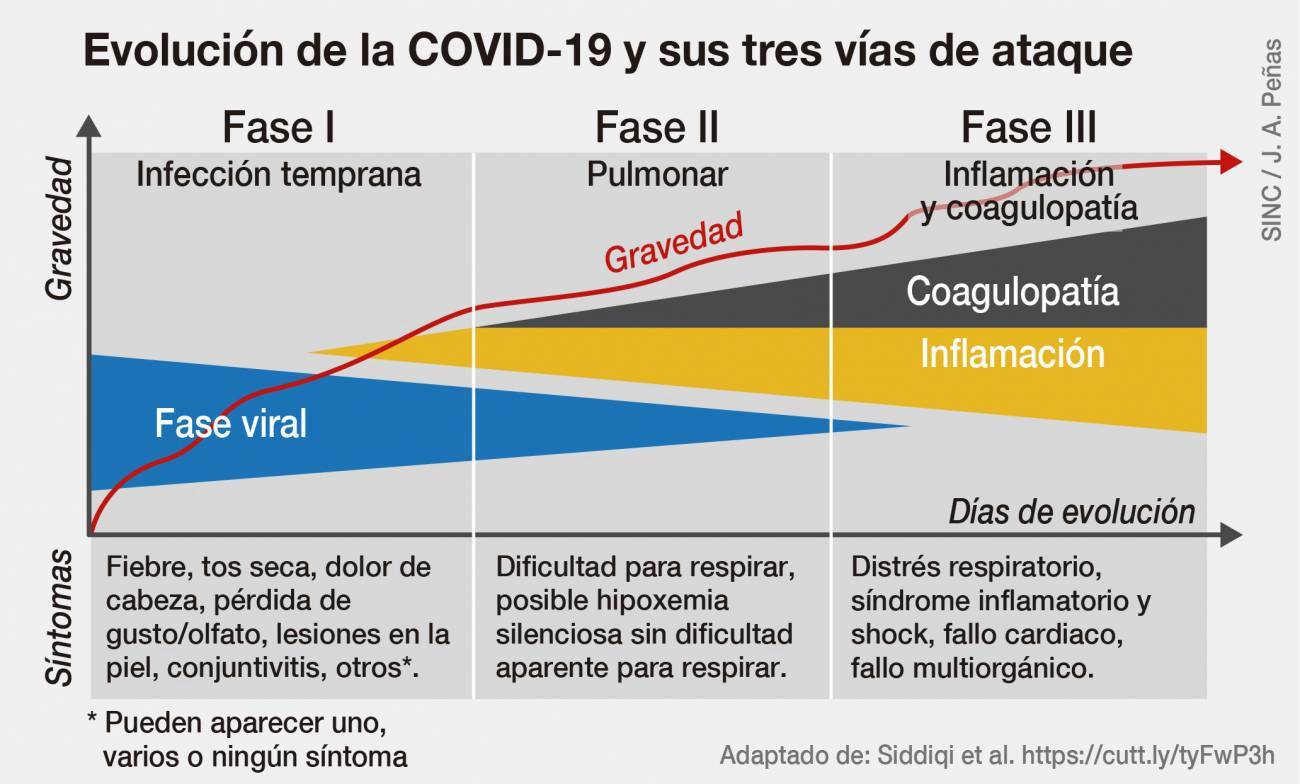 Infografía de la volución de la COVID-19.