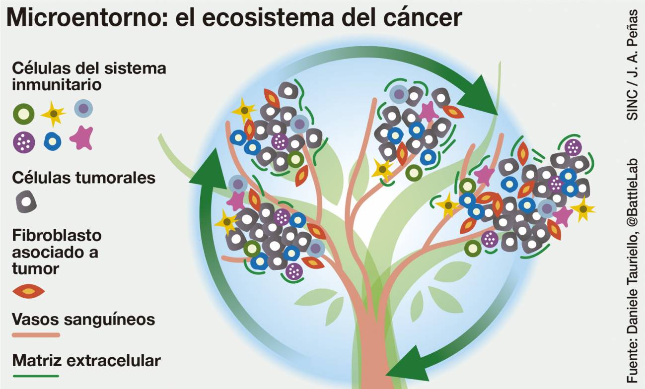  El hábitat de los tumores 