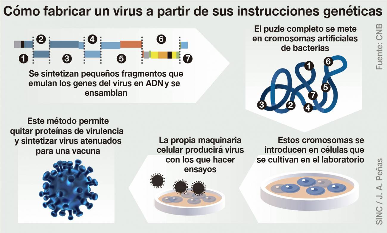  El rescate del coronavirus 
