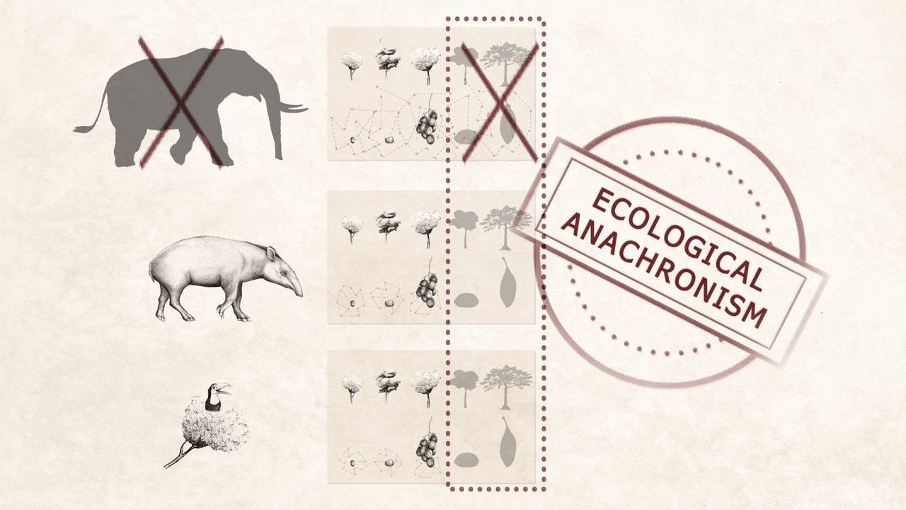 ilustración animales y su dieta de plantas