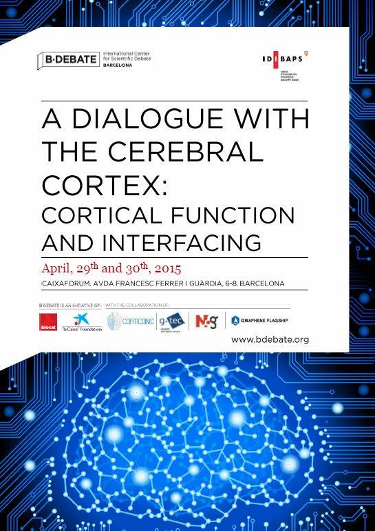 Poster Cerebral cortex