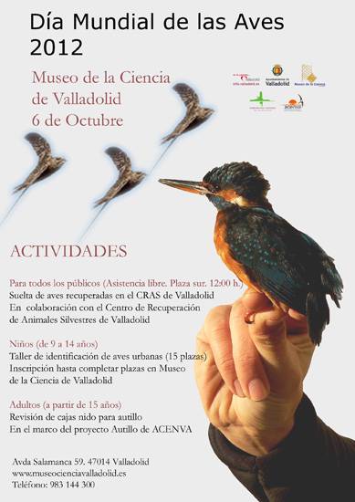 Cartel Día de las aves