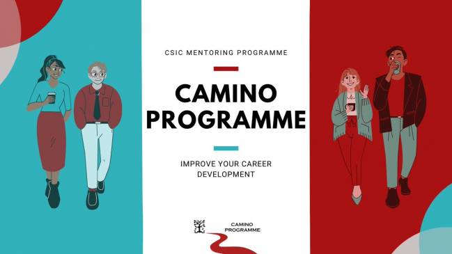 programa camino csic