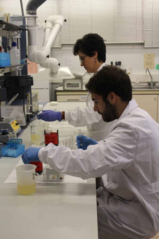Imagen en el laboratorio