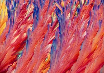 PLUMAS ANALGÉSICAS Autoría: María Jesús Redrejo Rodríguez Coautoría: Eberhardt Josué Friedrich Kernahan