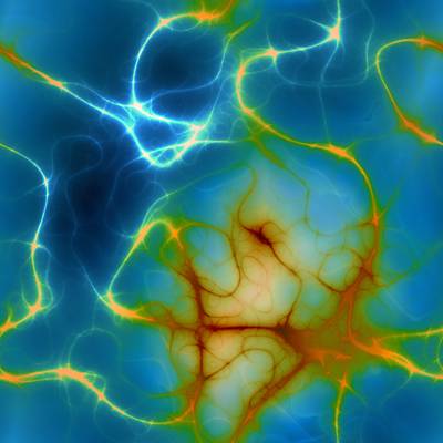 neuronas 