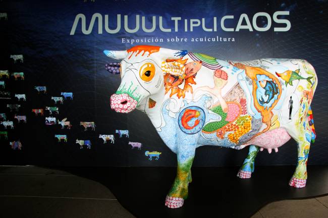 La vaca de la acuicultura