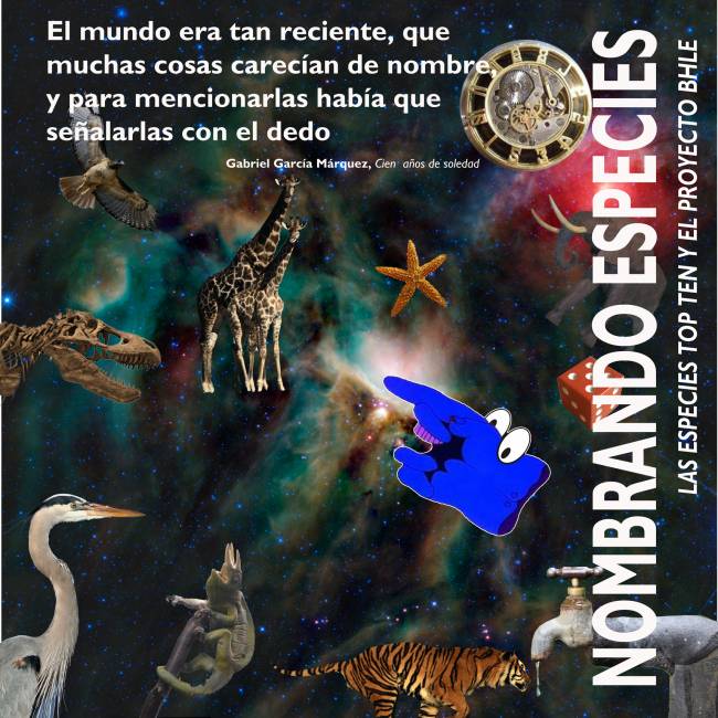 Cartel de la exposición 