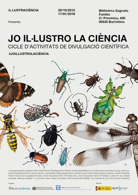Ciclo de actividades de ilustración científica en Barcelona