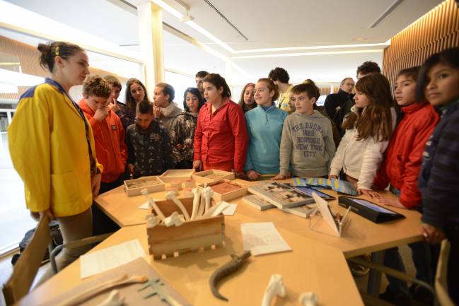 Talleres de la Ventana a la ciencia