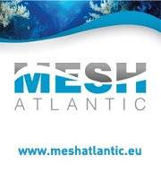 Mesh Atlantic logo