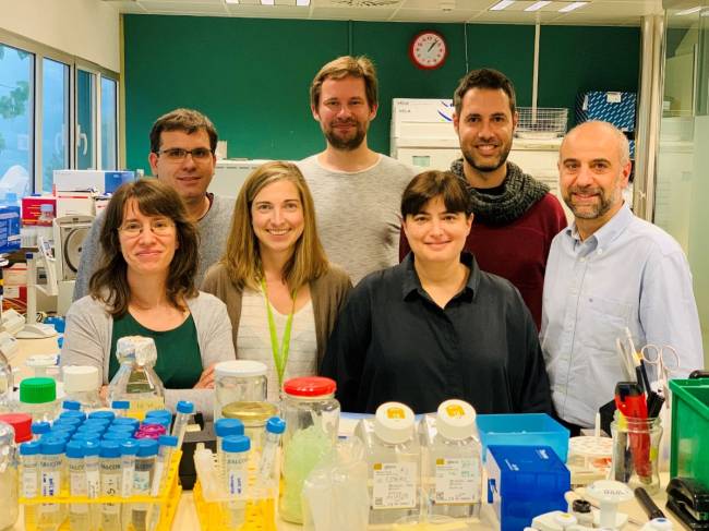los investigadores del estudio