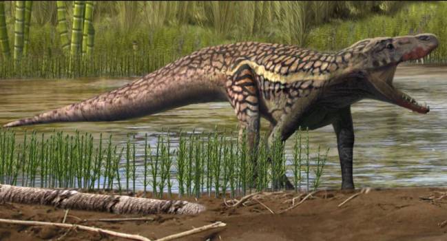 Reconstrucción artística de un arcosauromorfo. Autor: Oscar Sanisidro / Institut Català de Paleontologia Miquel Crusafont