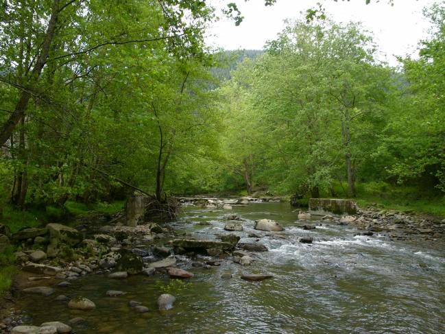 Rio Agüera