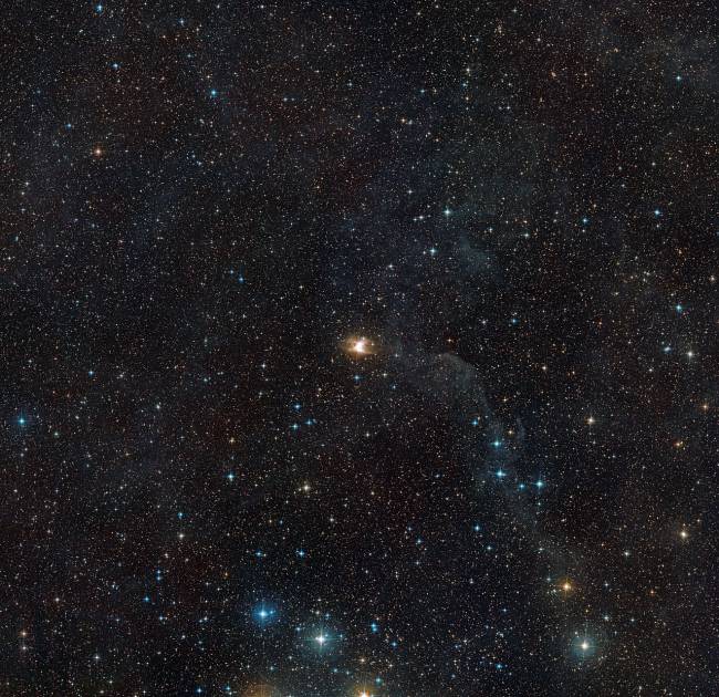 nebulosa Toby Jug